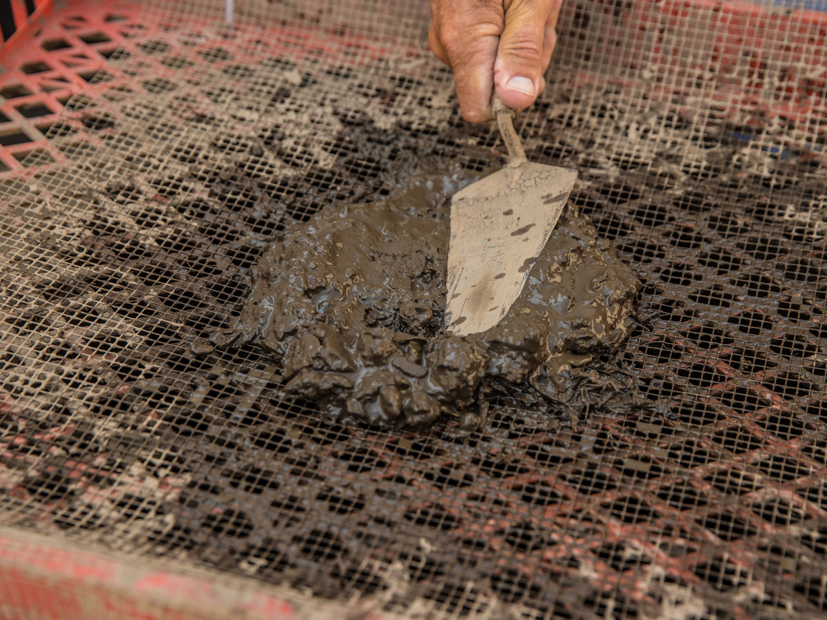 mud-scrape.jpg